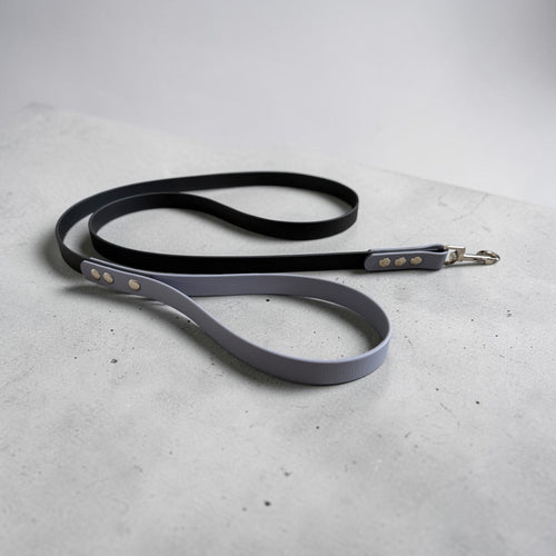 BioThane 2 Tone Lead