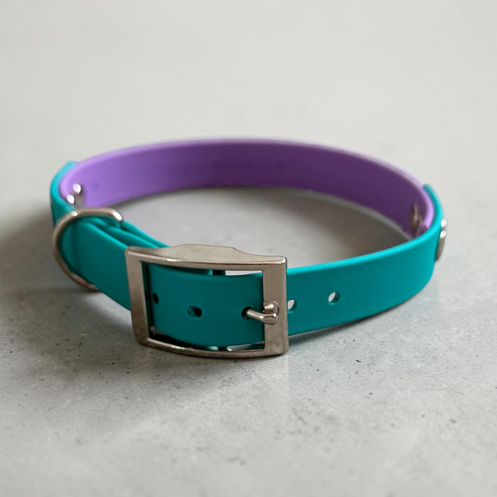 BioThane Two Tone Collar