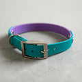 BioThane Two Tone Collar
