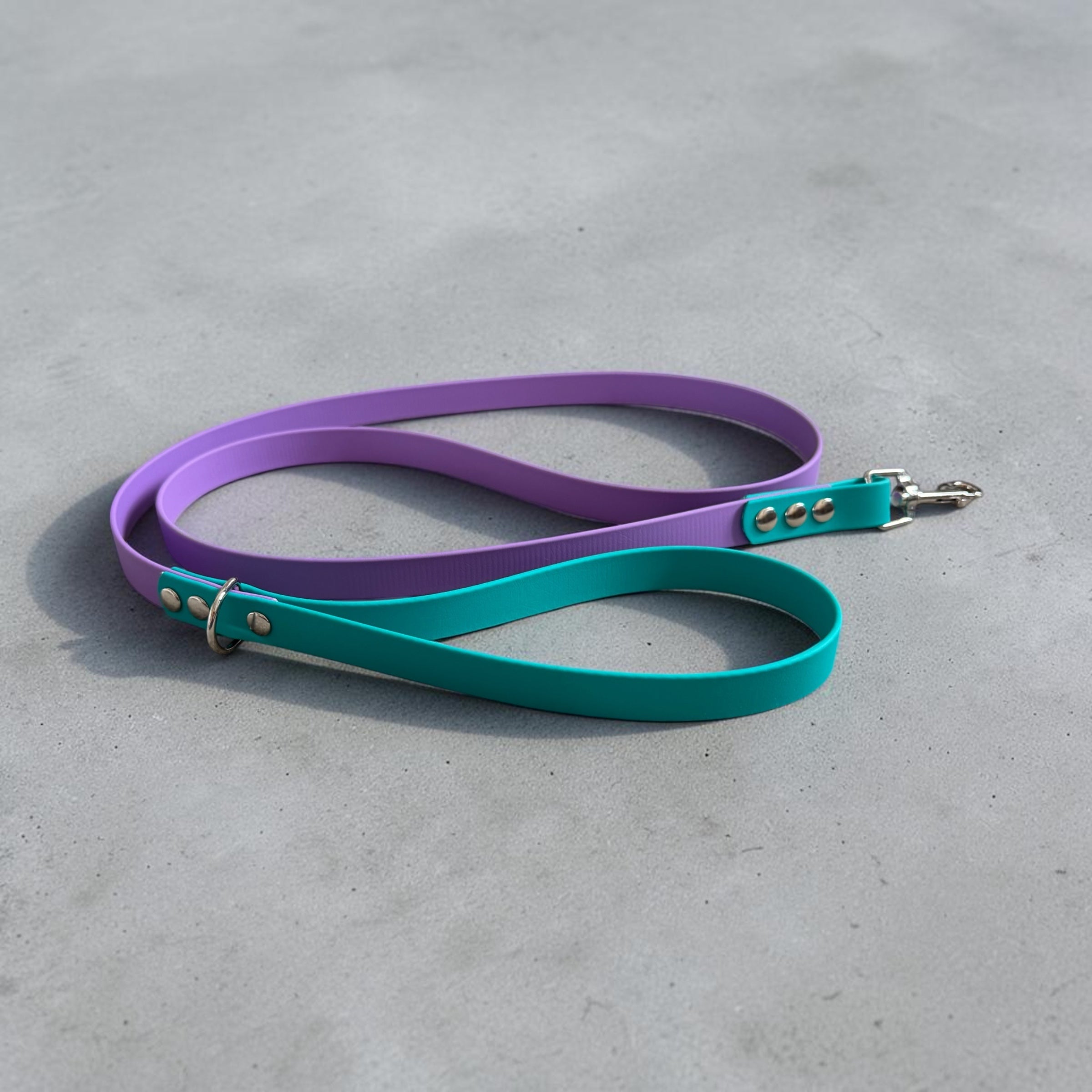 BioThane 2 Tone Lead