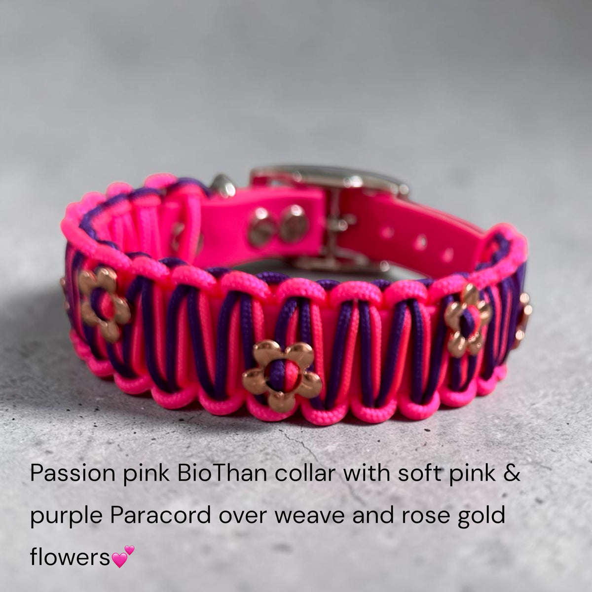 Biothane Collar with paracord weave