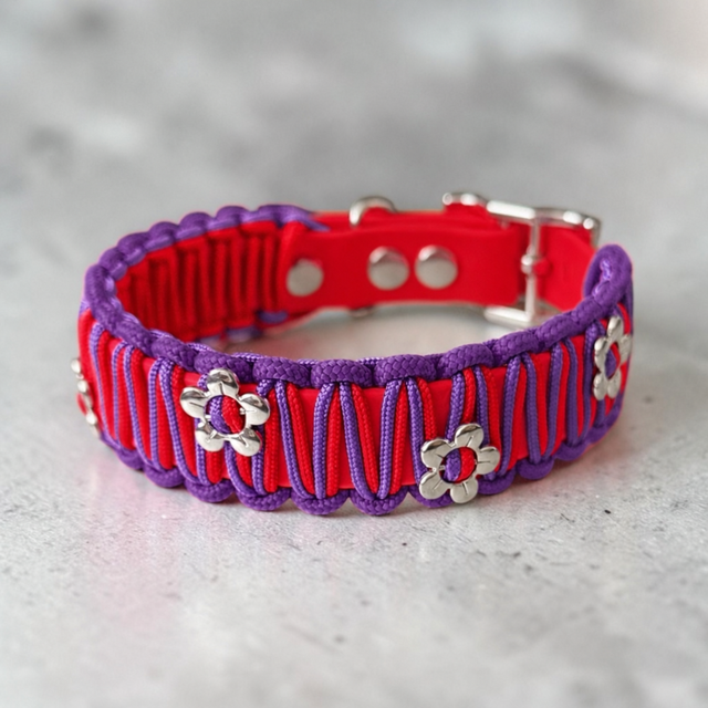 Biothane Collar with paracord weave