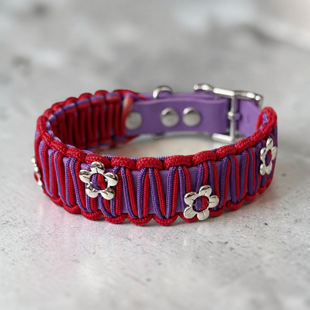 Biothane Collar with paracord weave