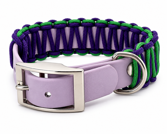 Biothane Collar with paracord weave
